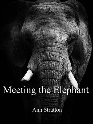 cover image of Meeting the Elephant